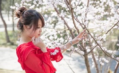 qvod在线伦理电影